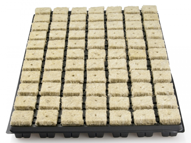 Grodan Anzuchtmatte mit Plastikuntersatz 77 Stück Grodan Anzuchtmatte mit Plastikuntersatz 77 Stück